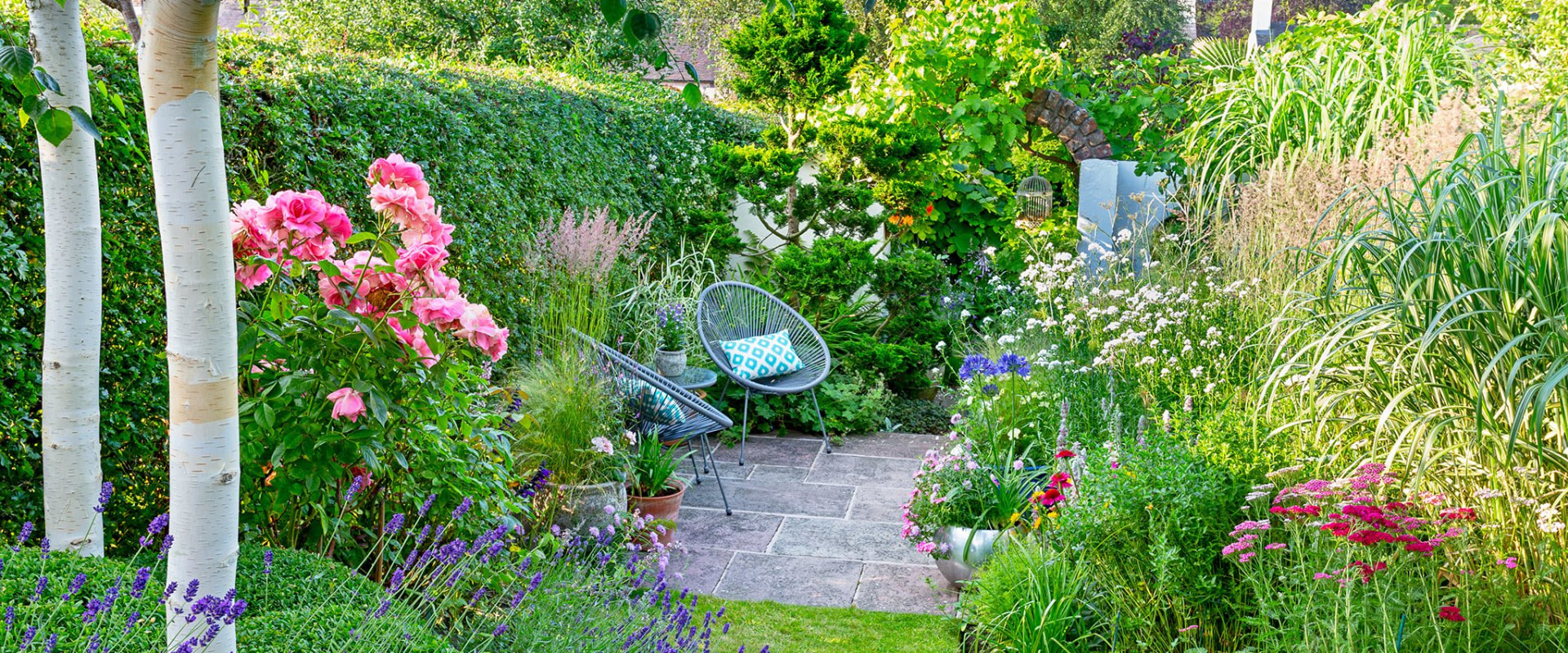 Plant Selection and Installation: How to Create a Beautiful Landscape