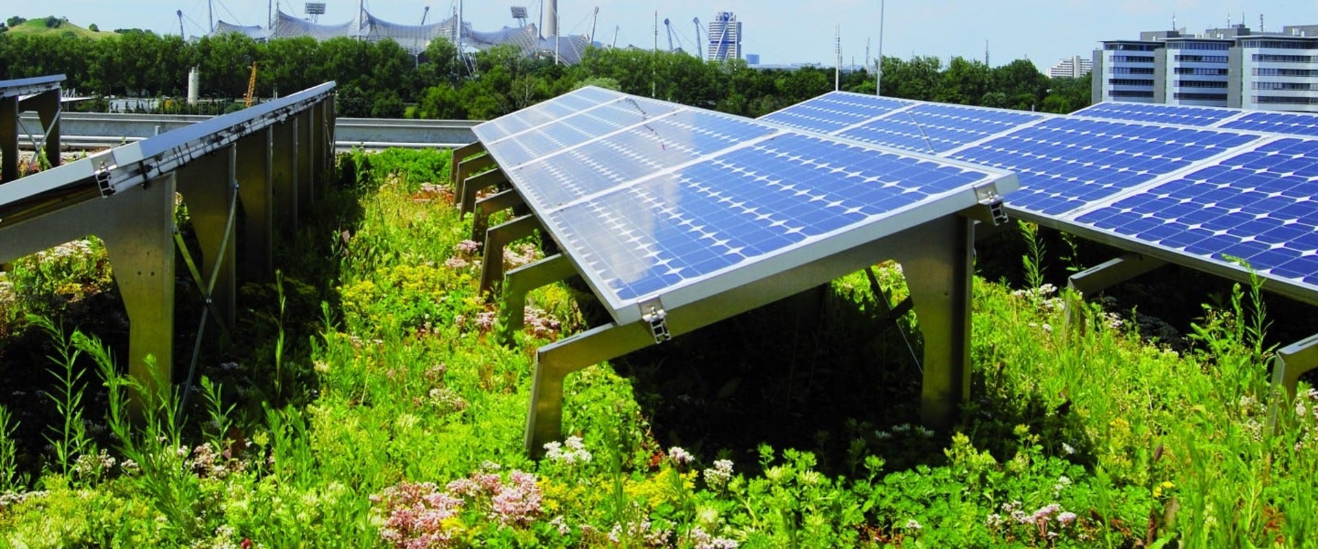 Solar Panel Installation: A Guide to Building Green