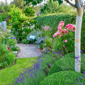 Plant Selection and Installation: How to Create a Beautiful Landscape