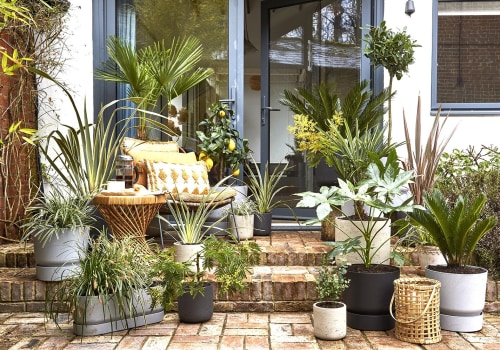 Garden and Outdoor Space Planning: Maximizing Your Home's Potential